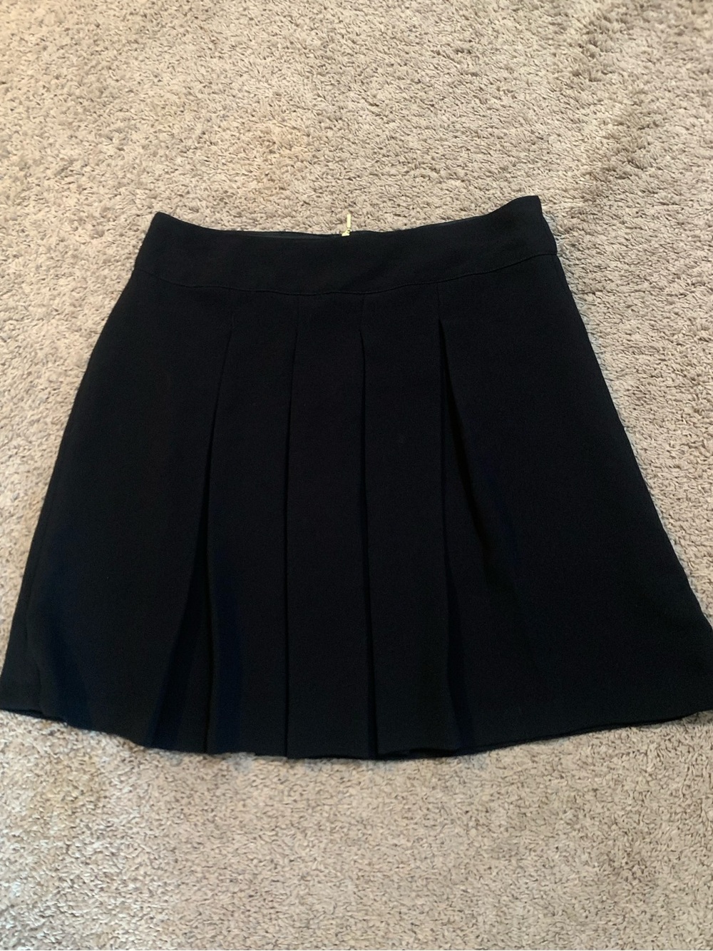 Debbie Shuchat Black Pleated Skirt 14